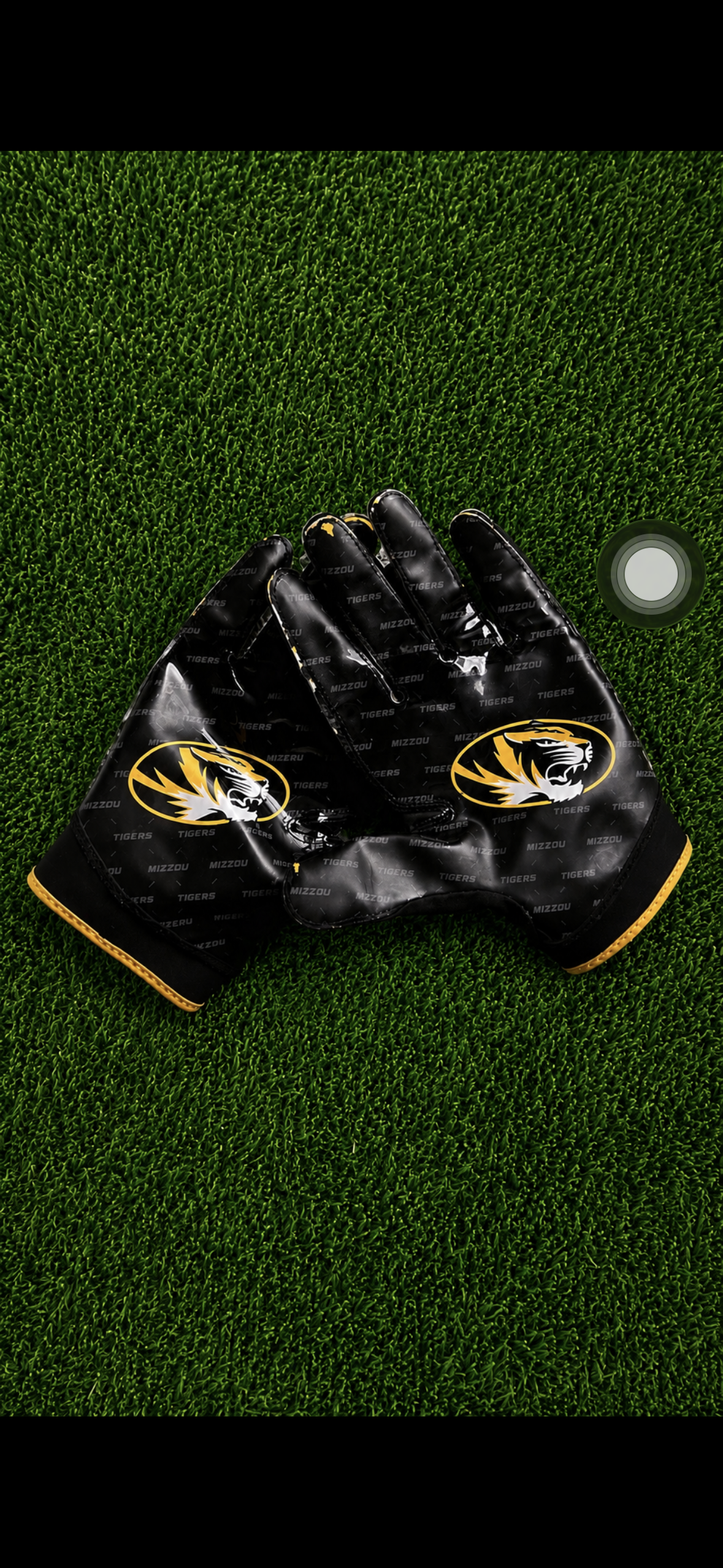 Mizzou Black Gloves